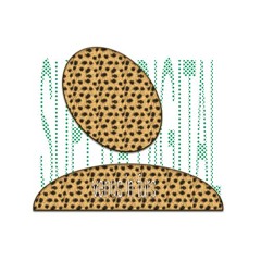 venuS