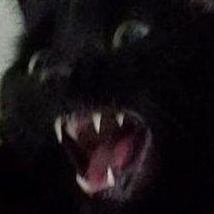 69
