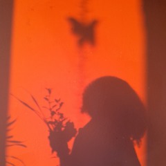 s and i