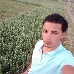 رفعت فوزي