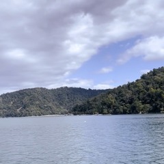 DashawnMyles! (@dashawnmyless)