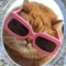 Kitty Hint