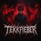 TekkFieber {𝔇•𝔖•𝔖}