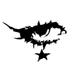 PXRXNOIIA