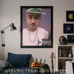 STEVEO-TEKK GESTÖRTER LIVE (FF38)