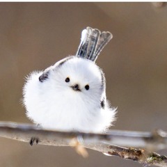 Aisha Erotica is my mom