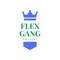 Flex Entertainment (New Page)