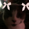 ILSY