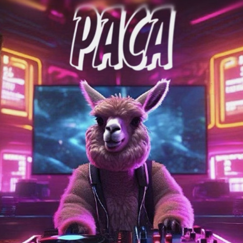 Paca_DNB’s avatar