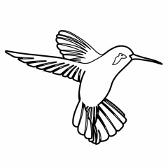 Songfisher Singing Circle & Songbooks