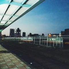 Long