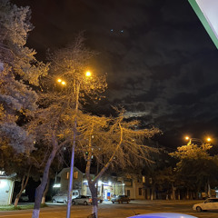 magasha69