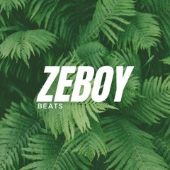 zeboy