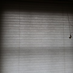 raindream 07-19-2023