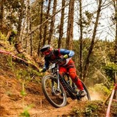 Tomas Gonzalez Bolaños