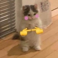 Socks owo