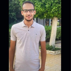 Walid Mahmoud 3
