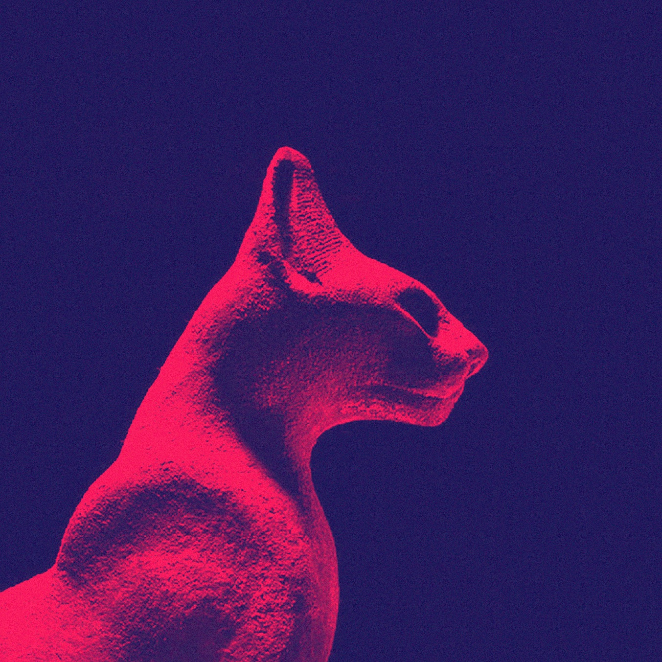 Cats Under Synthesizers