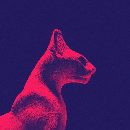 Cats Under Synthesizers’s avatar
