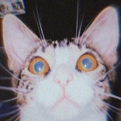 Rickyiam