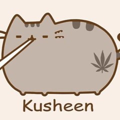 ariwa