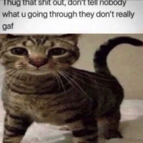 kaido cover i forgot the song name to