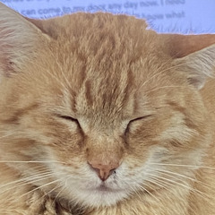 Tony