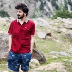 Syed Shehxad Ahmad