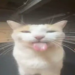 spispi
