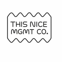 This Nice Management Co.