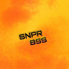 SNPR BSS Proyect 004