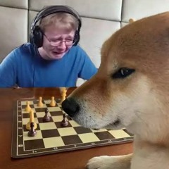BozoK