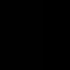 CM223