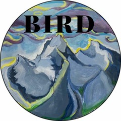 Bird.