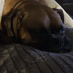 ————————