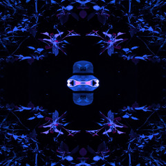 spac-e