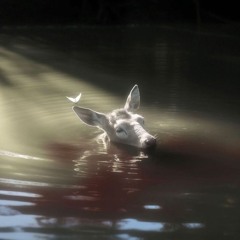 PRIME MINISTER BERGERON