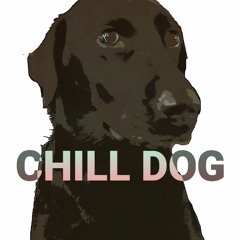 Chill Dog Productions