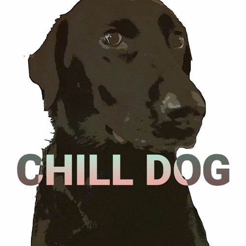 Chill Dog Productions’s avatar