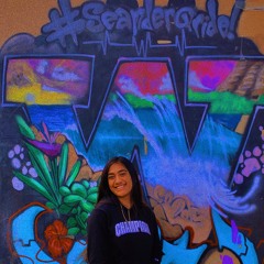 𝚃𝙰𝚅𝙰𝙵𝙲𝙲𝙽𝙶