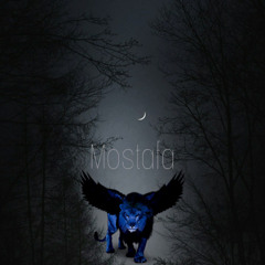 mostafa_ashraf