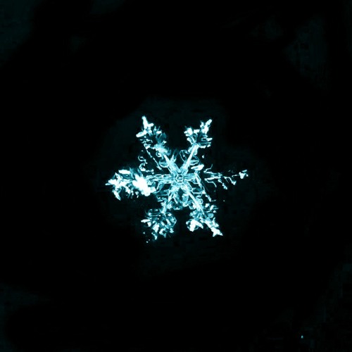 Icicle