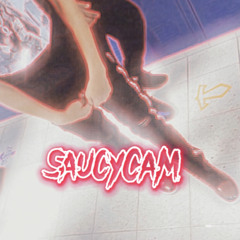 SaucyCam
