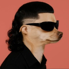 DИZ