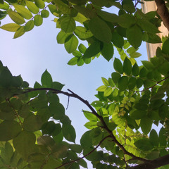 Ánh Dương