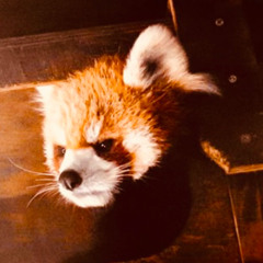 CUB