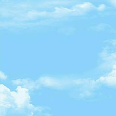 나비