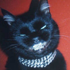 Slizzy Black Panther