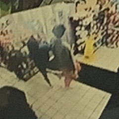 sora