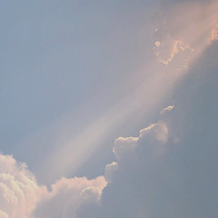 Taylor Sky